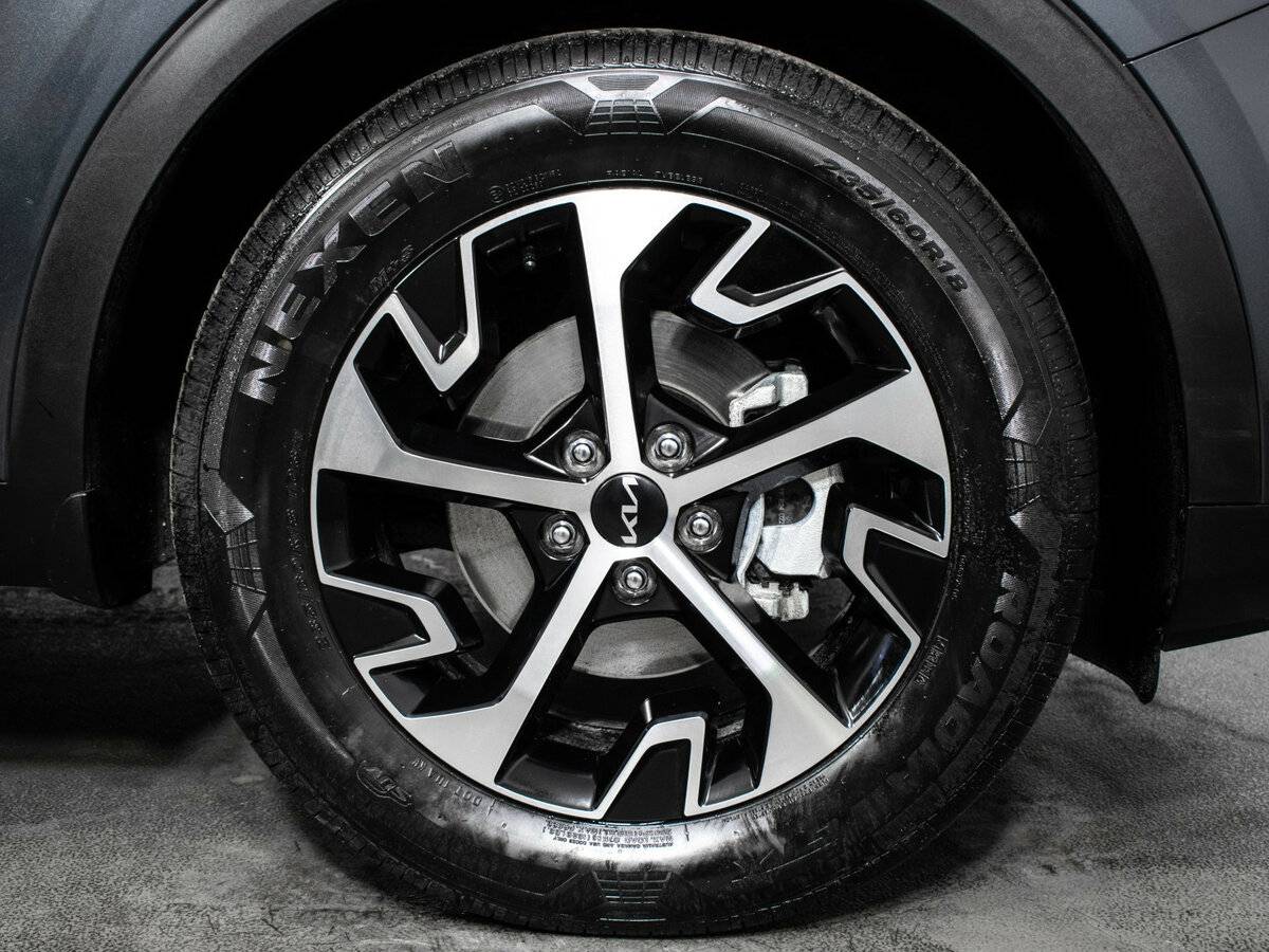 Kia Sportage V, 2024 Фото №17